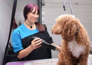 Dog Stylist Chrissy Smith at Groom For Improvement dog groomers in Shrewsbury on Tuesday, June 17, 2025.