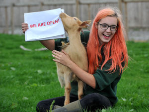 Supporting image for story: April and Millie delighted Sandwell family farm is back open