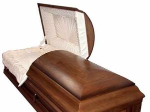 Supporting image for story: Letter: Children do not need to know about death