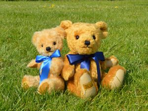 Supporting image for story: Britain's oldest teddy bear factory in Ironbridge on way to smashing fundraising goal for NHS