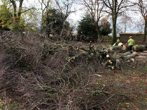 Supporting image for story: Destruction as severe gales strike region