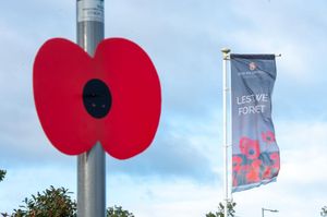 BG - SGB-6855 - A lamppost poppy at a David Wilson Homes development