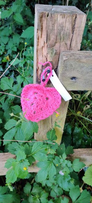 The crocheted hearts which have been appearing at sites around Telford, urging people to support local charities