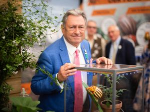 Supporting image for story: Keep eye out for ‘savage’ potato-threatening Colorado beetle, Titchmarsh urges