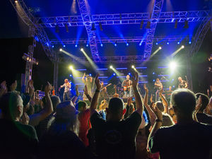 Supporting image for story: More than £10,000 raised for charity with virtual Shrewsbury Folk Festival