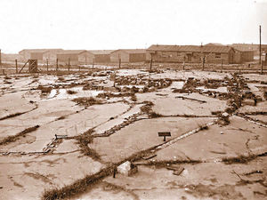 Supporting image for story: WWI training camps to be unearthed on Cannock Chase
