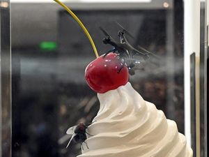 Supporting image for story