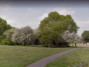 Supporting image for story: Huge support for Walsall school's bid to take over woodland plagued by anti-social behaviour