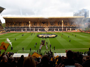 Supporting image for story: Wolves season ticket sales soar