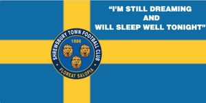 A mock-up of the memorial flag