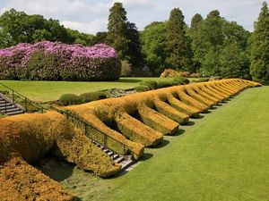 Supporting image for story: Spectacular gardens to open for charity event