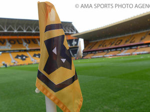Supporting image for story: Wolves' new sponsors: All about the money