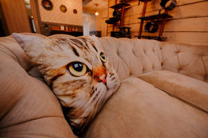 People can chill out on the comfy sofas in the cafe
