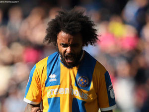 Supporting image for story: Junior Brown: Shrewsbury Town can do better than this