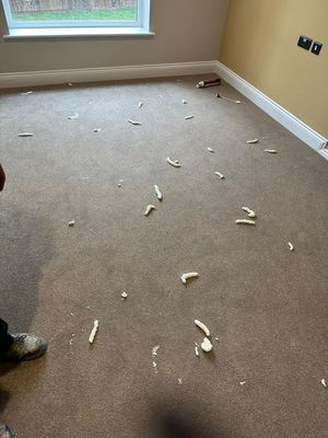 Vandals caused significant and expensive damage at the new Maples Care Home in Randlay.