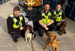 Sniffer dogs helped lead police and Trading Standards officers to the tobacco