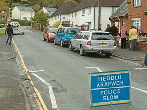 Supporting image for story: Welshpool road shut as escaped cow is shot by police