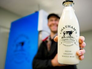 Supporting image for story: Shifnal farming family opens self-service dairy hut to sell organic milk and cheese