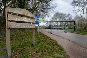 Supporting image for story