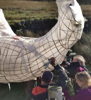 Clarion the bear on route to COP26