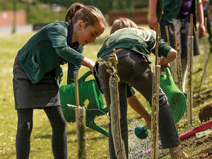 Supporting image for story: Much Wenlock business supports tree planting at home and abroad