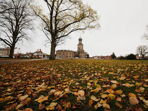 Supporting image for story: Older Shropshire residents urged to keep heating low rather than off with cold nights on the way