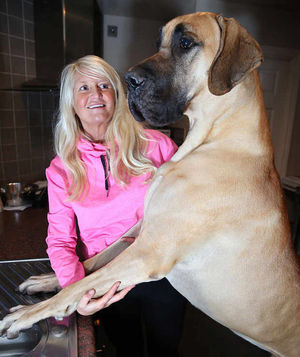 Presley towers over owner Sian Barrett