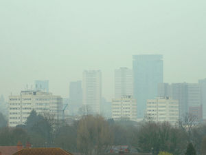 Supporting image for story: Businesses leading new campaign to help improve air quality