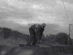 Supporting image for story: Cable thief is caught on camera