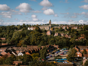 Supporting image for story: Bridgnorth Cliff Railway to shut so wood containing 'corrosive' acid can be removed