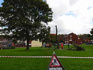 Supporting image for story: Ludlow tree row: Sycamore cut down 'to stop rents going up'