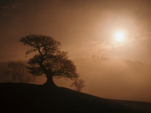 Supporting image for story: Shropshire weather: Magic of a misty, moisty morning - with weekend forecast