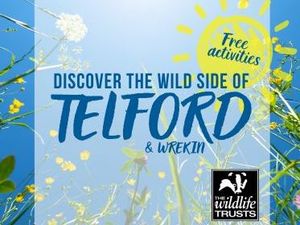 Supporting image for story: Free wildlife sessions on offer for families over the summer holidays