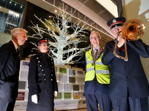 Supporting image for story: Telford's Tree of Light launched ahead of festive season