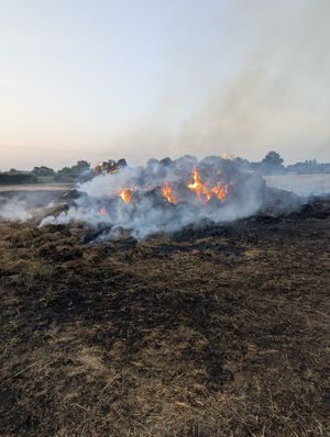 Haybales on fire in Newport. Picture: Amber Watch Wellington.