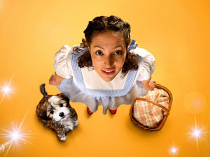 Supporting image for story: The Wizard of Oz coming to Birmingham