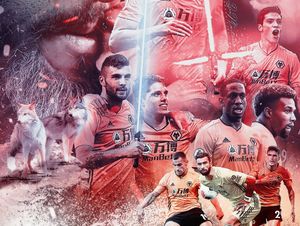 Supporting image for story: Blockbuster art celebrates Wolves’ glory