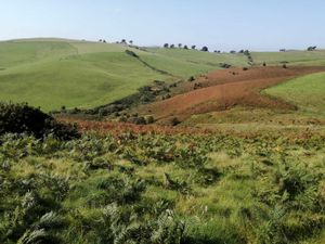 Supporting image for story: ‘We are completely astonished’: Land bid successful as trust raises £100,000 in just two days