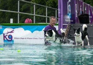 DogFest. All pictures from: https://dog-fest.co.uk/cheshire