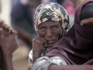 Supporting image for story: US buying large shipment of Ukrainian grain for food aid