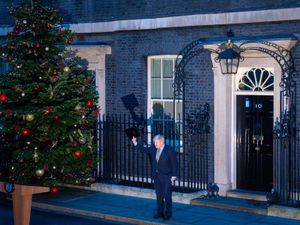 Supporting image for story: LETTER: The tale of Boris the blue