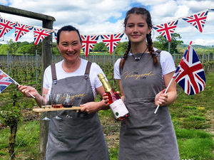 Supporting image for story: Shropshire vineyard raising a glass to English Wine Week 