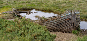 4. Christine Walford - A Mussel Flat on Blakeney Marsh