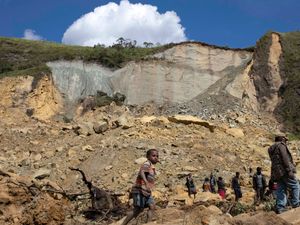 Supporting image for story: Fears rise of second landslide and disease at site of Papua New Guinea disaster
