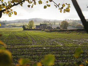 Supporting image for story: Green Party politician tells Black Country planners to prioritise affordable housing