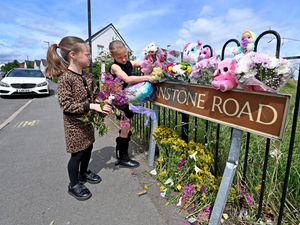 Supporting image for story: 'It really is terrifying, you are scared for your kids': Community grieves after girl, 7, dies in suspected hit-and-run