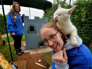 Supporting image for story: Deaf and blind cat Johnny crowned king of the castle at cat rescue thanks to generous donations