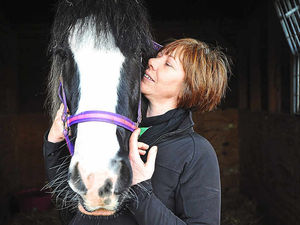 Supporting image for story: Shropshire horse lucky to survive rare illness, says vet