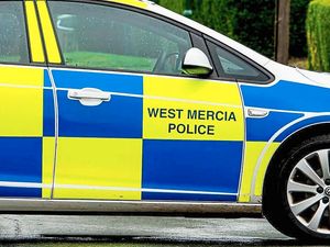 Supporting image for story: Youth makes Craven Arms 'dog attack' hoax call 