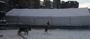 Literally jumping for joy - the reindeer. Pic: http://www.dudleyzoo.org.uk/snows-love-hate-thing/
